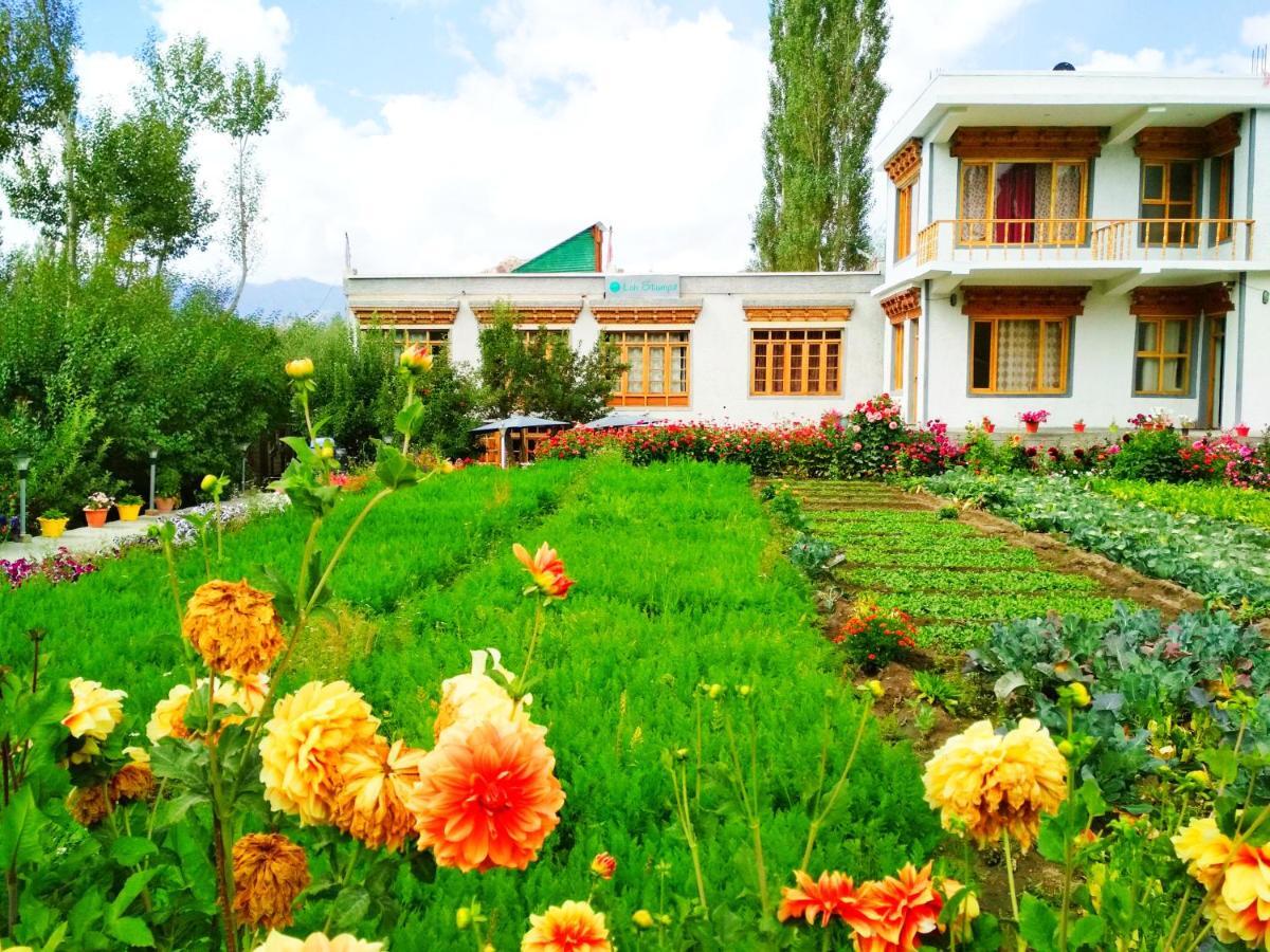 Stumpa Homestay Leh